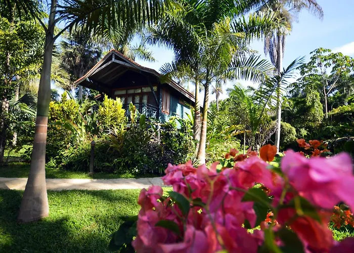 Sunset At The Palms Resort (Adults Only) Negril